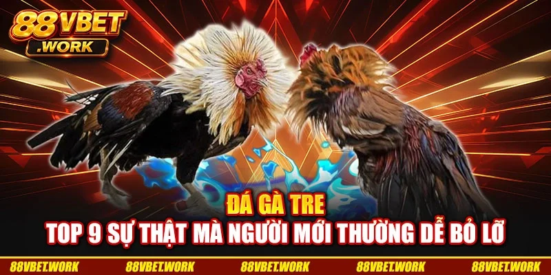 Đá Gà Tre - Top 9 Sự Thật Mà Người Mới Thường Dễ Bỏ Lỡ